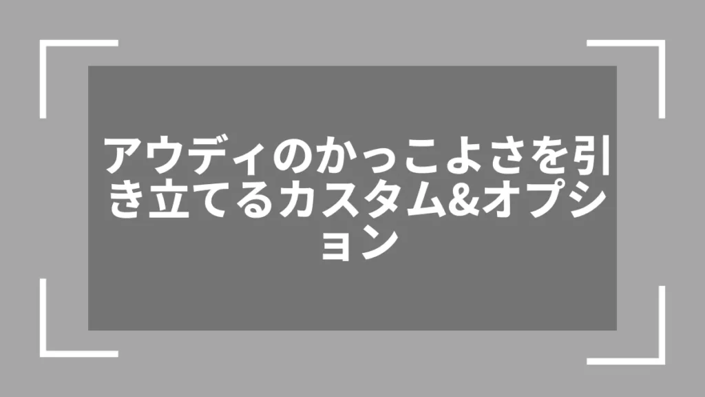 アウディのかっこよさを引き立てるカスタム＆オプション