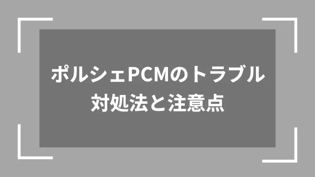 ポルシェPCMのトラブル対処法と注意点