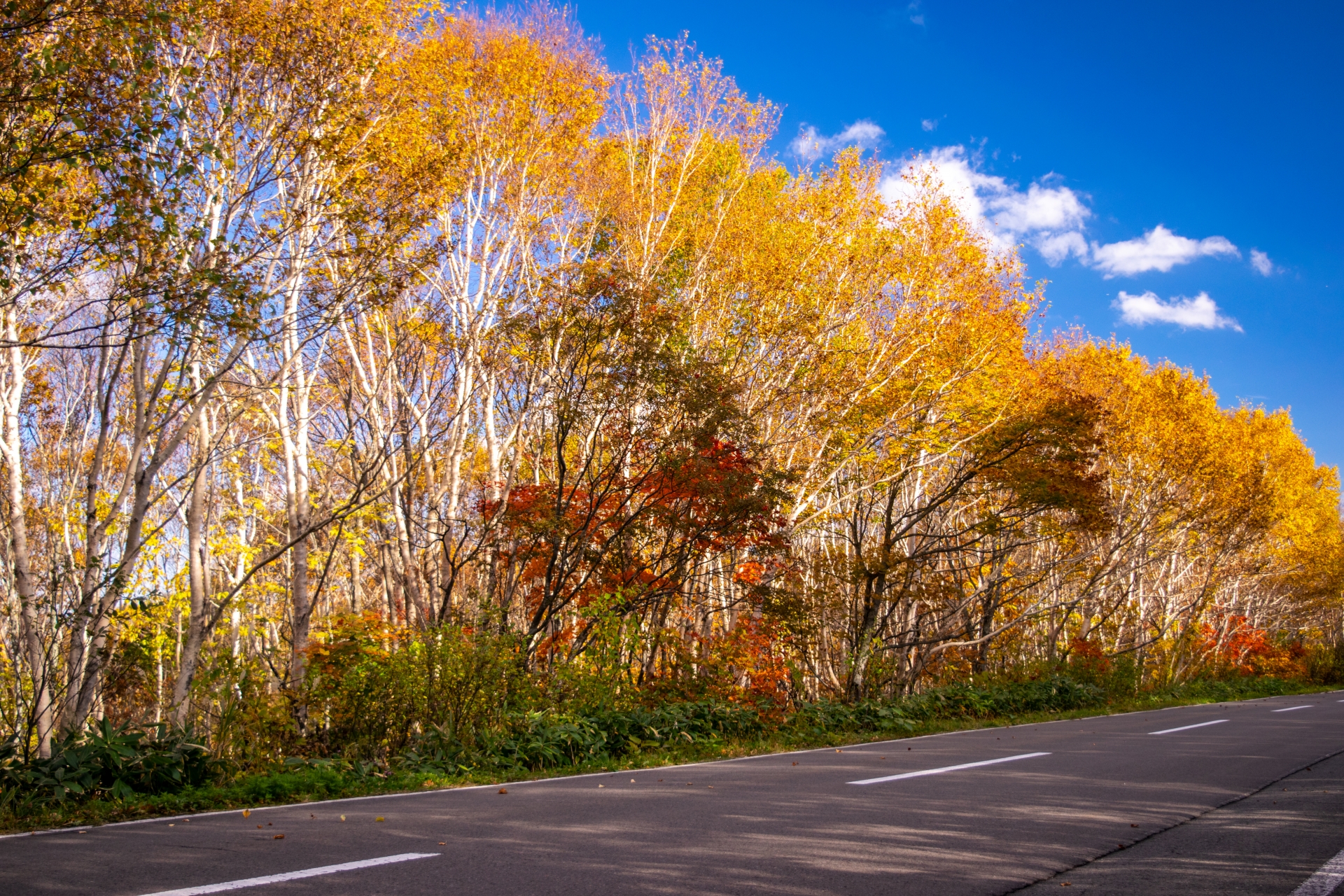 八幡平アスピーテライン