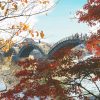 秋の錦帯橋