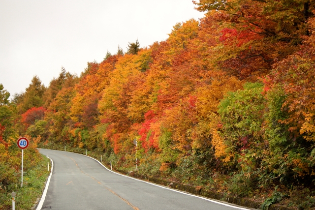 蔵王エコーライン